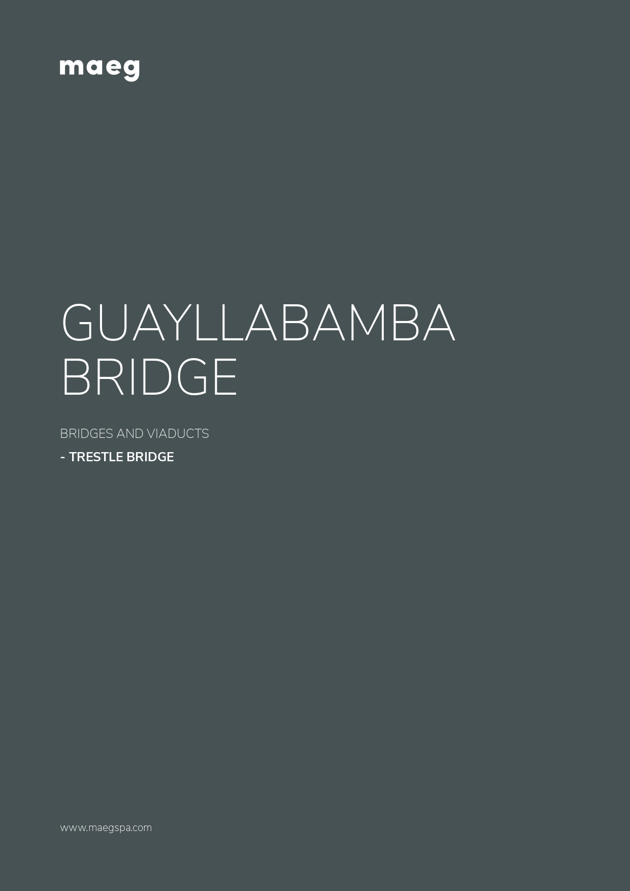 Guayllabamba bridge